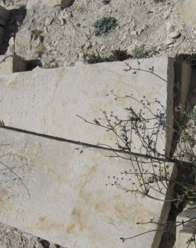 תמונת קבר גרשון ליפשיץ