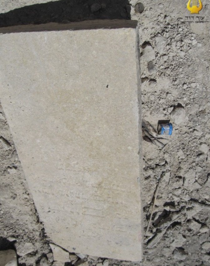 תמונת קבר חיים פינקלשטיין