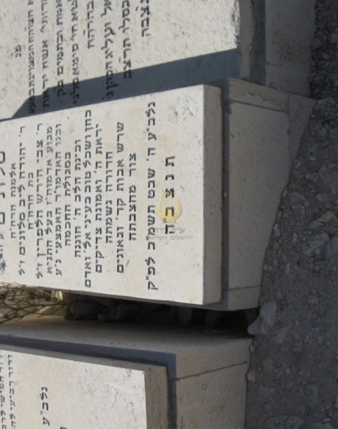 תמונת קבר שיינא ליבא סלאווה סלונים