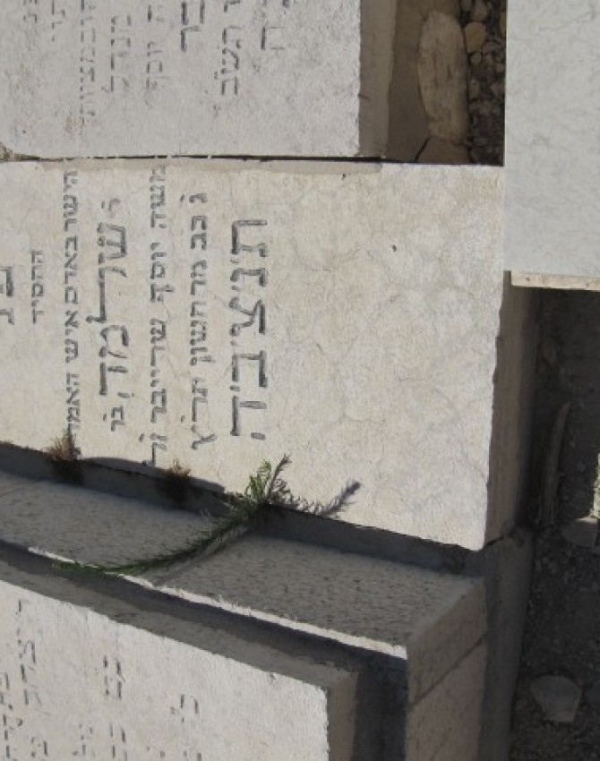 תמונת קבר שלמה שרייבר