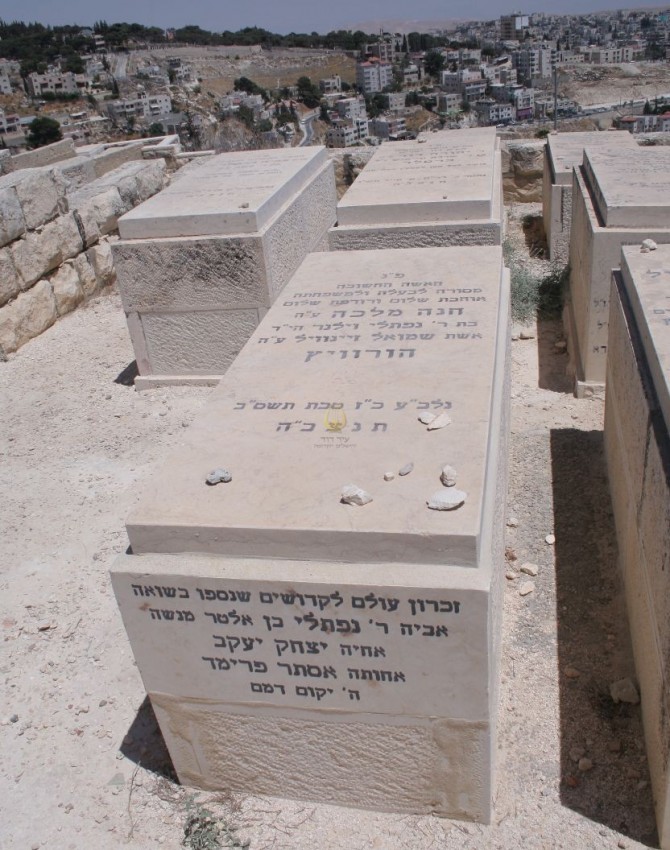 תמונת קבר חנה מלכה הורוויץ