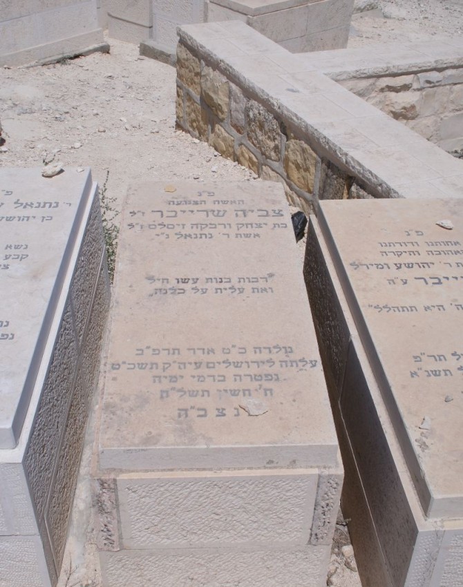 תמונת קבר צביה שרייבר