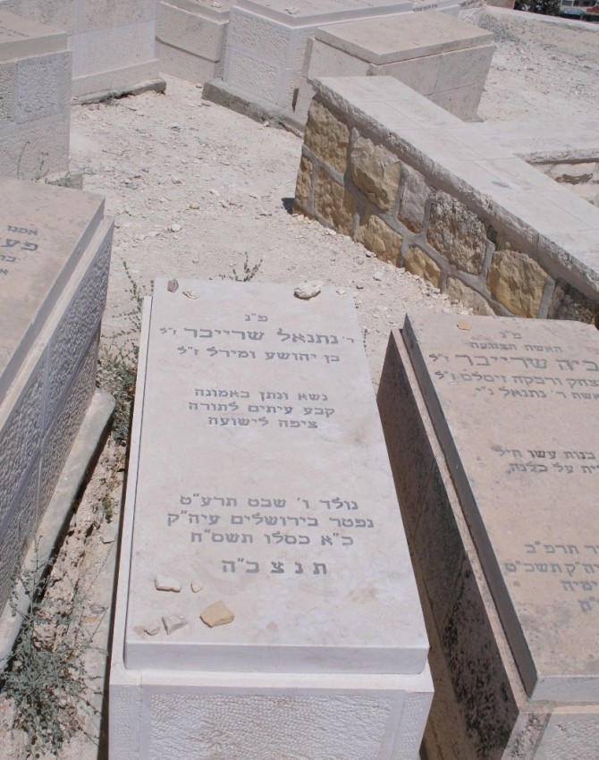 תמונת קבר נתנאל שרייבר