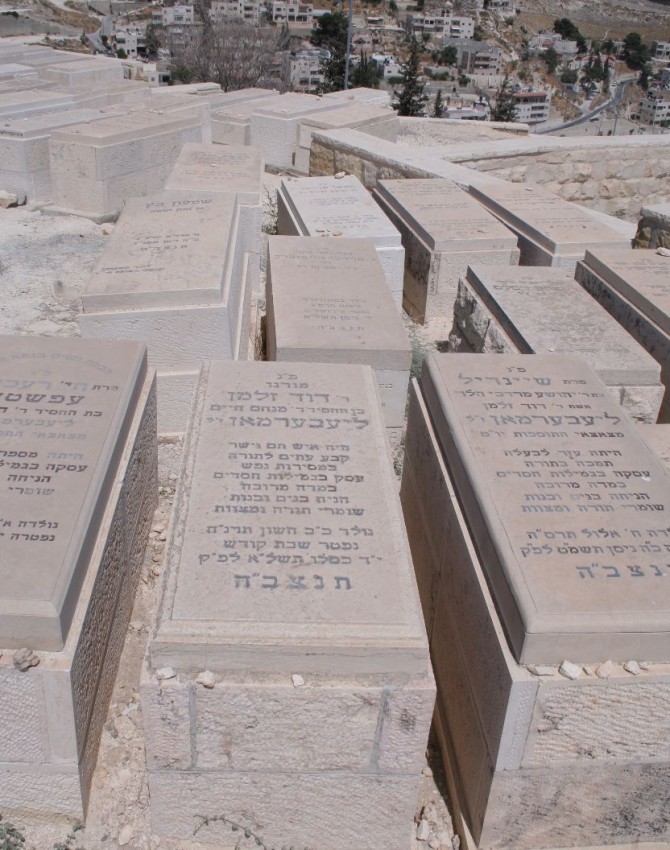תמונת קבר דוד זלמן ליעבערמאן