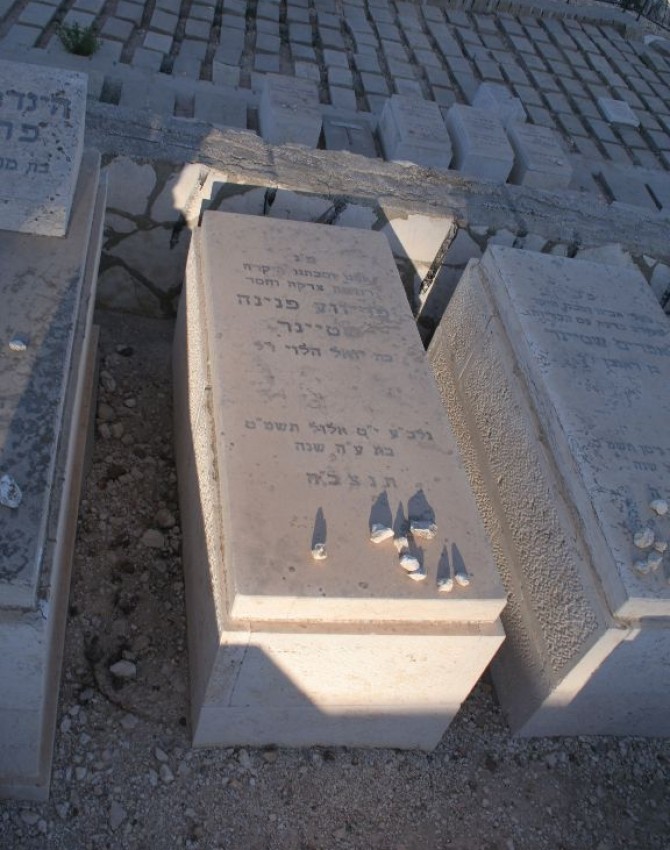 תמונת קבר פריווע פנינה שטיינר
