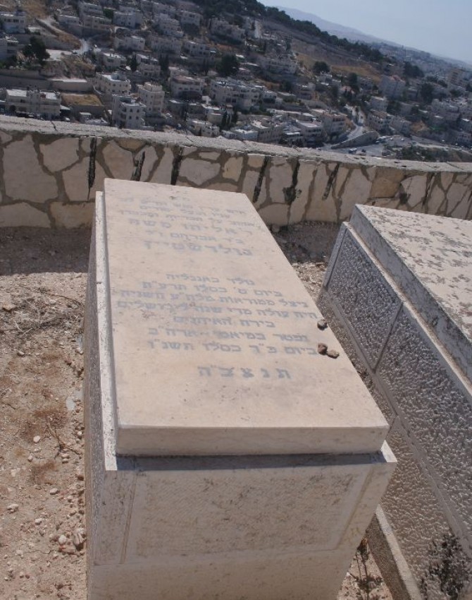 תמונת קבר אליהו משה גולדשטיין