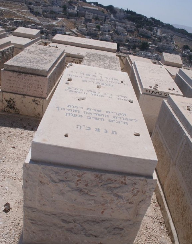 תמונת קבר אהרן משה טננבוים