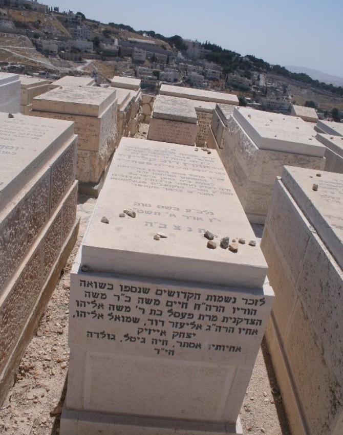 תמונת קבר אהרן דוב קליין