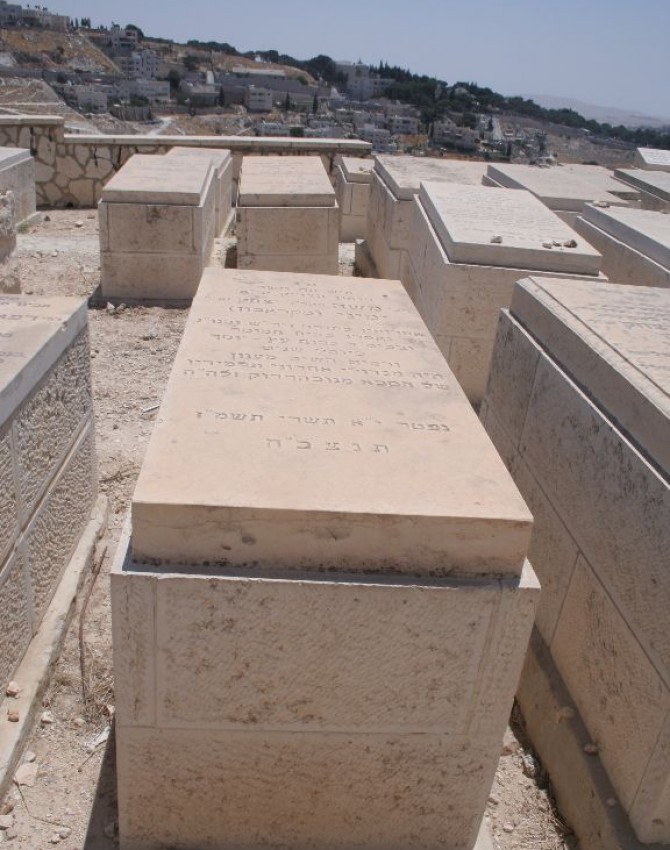 תמונת קבר משה ימיני