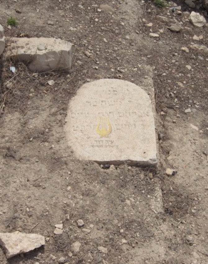 תמונת קבר משה ווייס