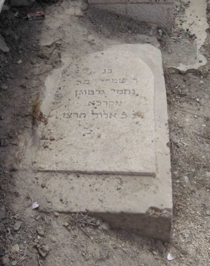 תמונת קבר שמריה גרטוגן