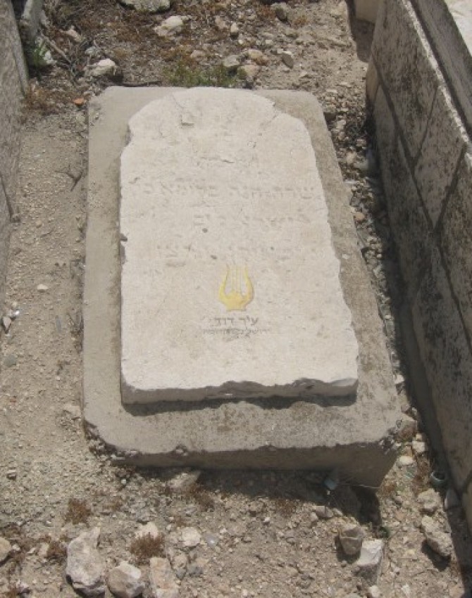 תמונת קבר שרה חנה בלומא