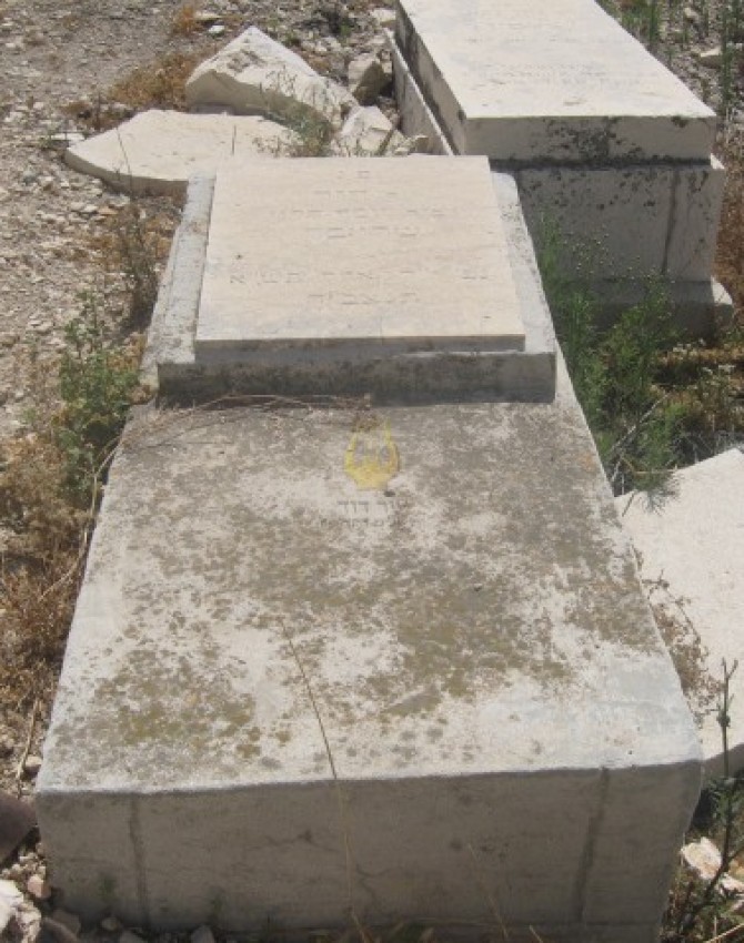 תמונת קבר דוד שרייבר