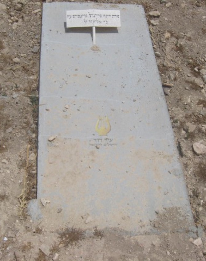 תמונת קבר דינה ברענדל גרינבוים