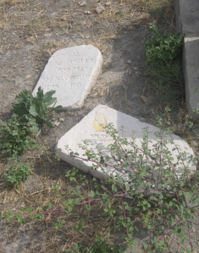 תמונת קבר שרה שנדרובסקי