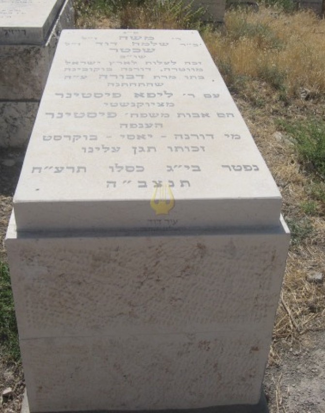 תמונת קבר משה שכטר