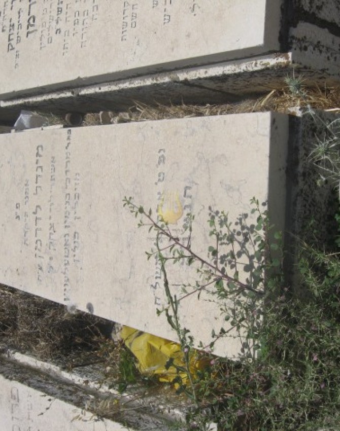 תמונת קבר מינדל לדרמן