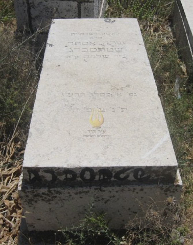 תמונת קבר שרה אסתר שטרסברג