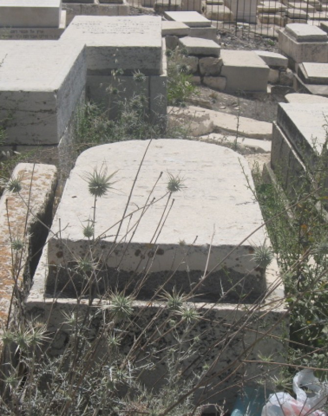 תמונת קבר בת שבע שטיין