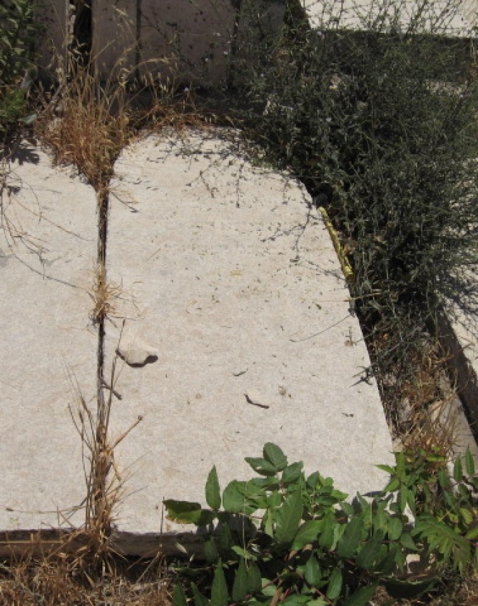 תמונת קבר פייגא רחל