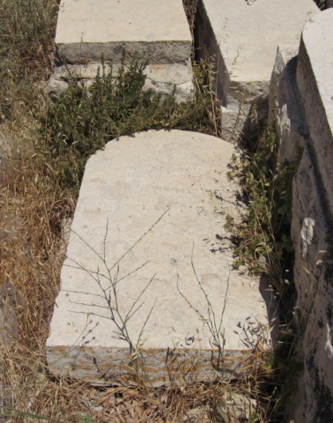 תמונת קבר צבי סגל