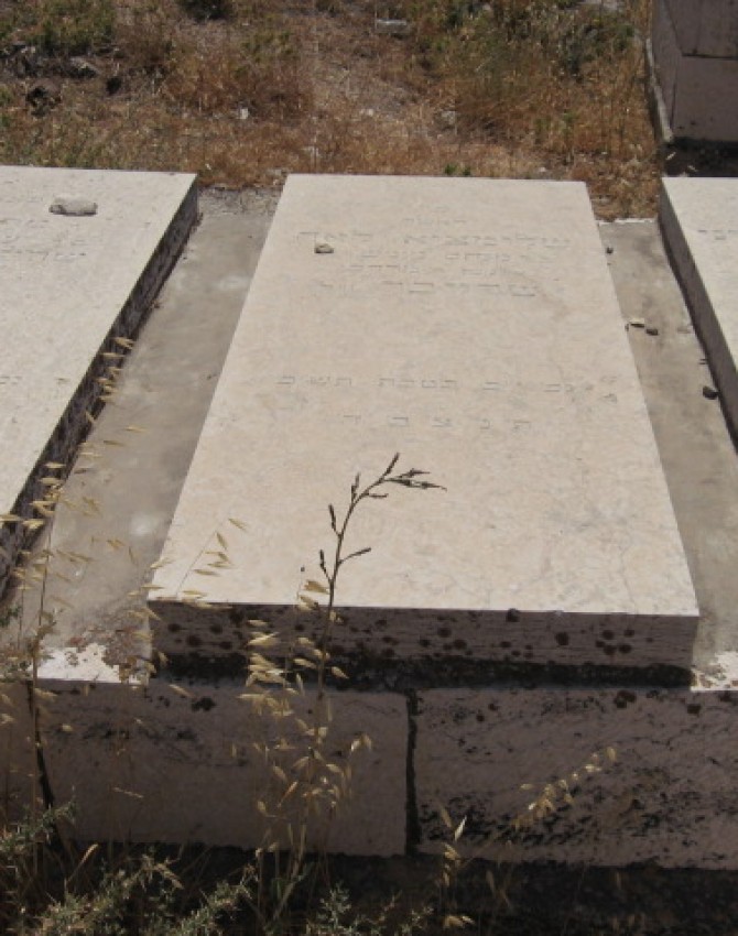 תמונת קבר שלומציא לאה שרייבר