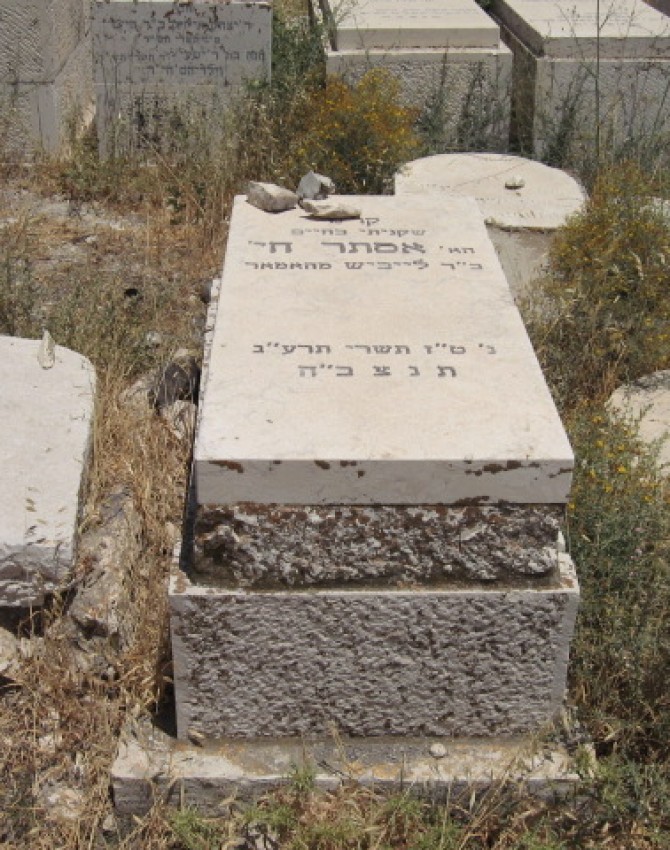 תמונת קבר אסתר חיה מהאמאר