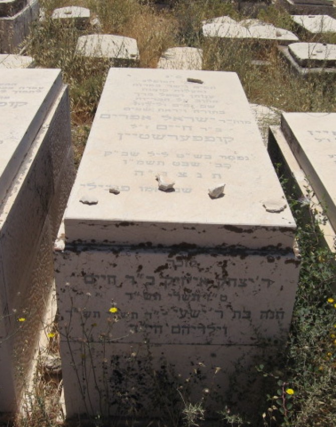 תמונת קבר ישראל אפרים קופפערשטיין