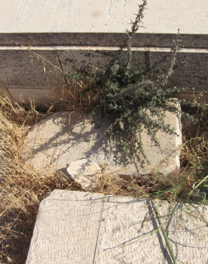 תמונת קבר אפרים