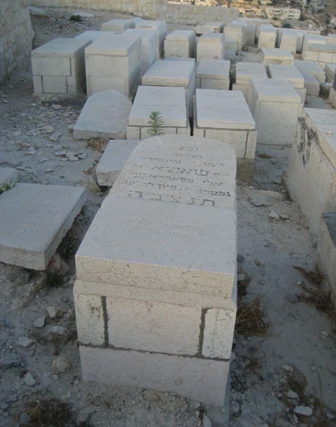 תמונת קבר שאשא גרינברג
