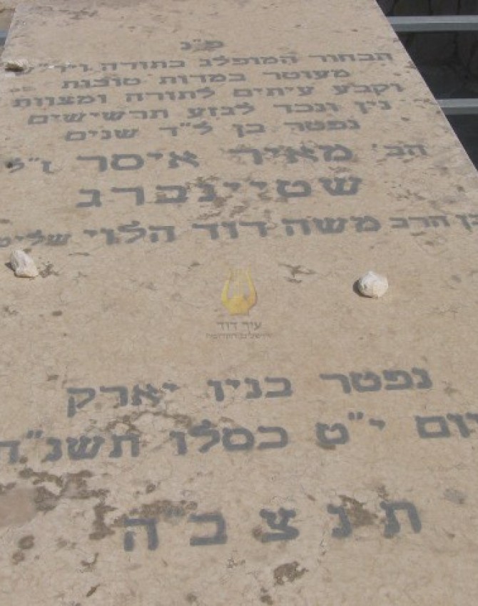 מאיר איסר שטיינברג