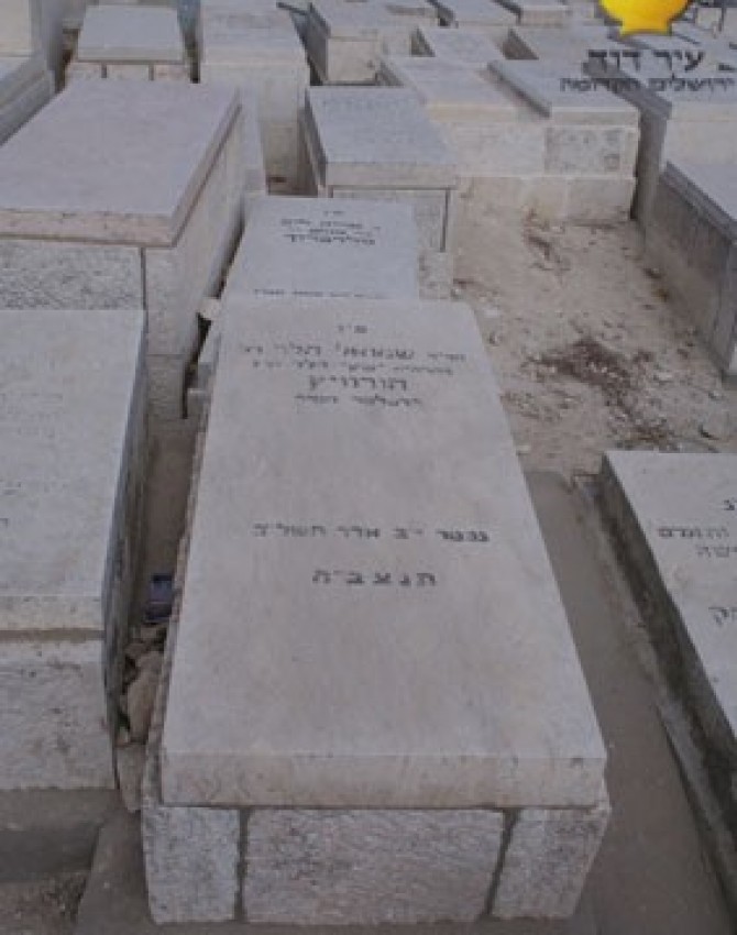 תמונת קבר שמואל הורוויץ