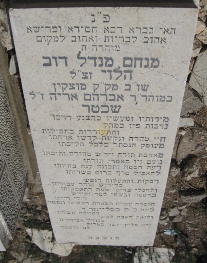מנחם-מנדל-דב-הלוי-שכטר-2/
