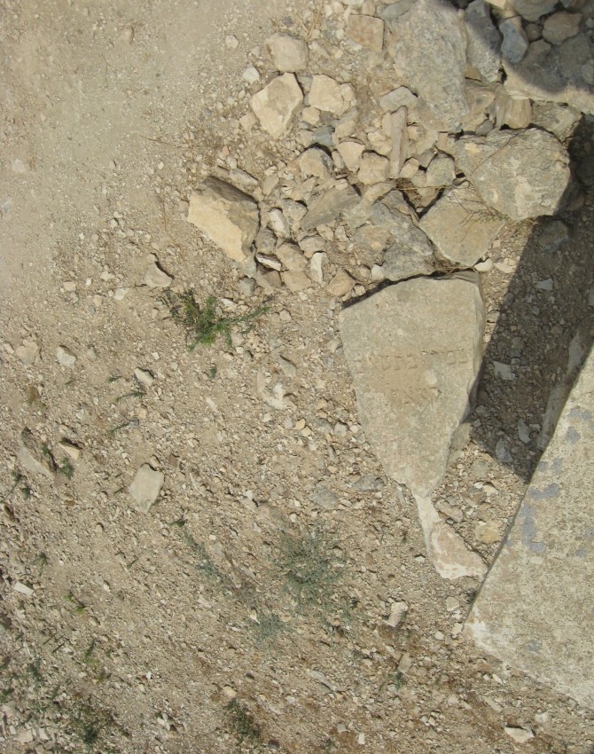 תמונת קבר בכורה קאלאזן