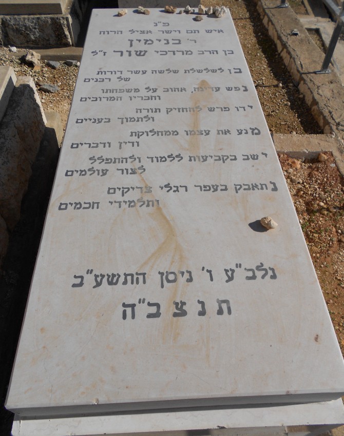 תמונת קבר בנימין שור