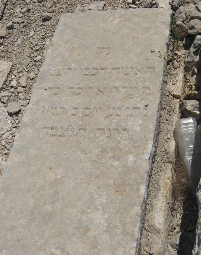 תמונת קבר וידה בר נתן