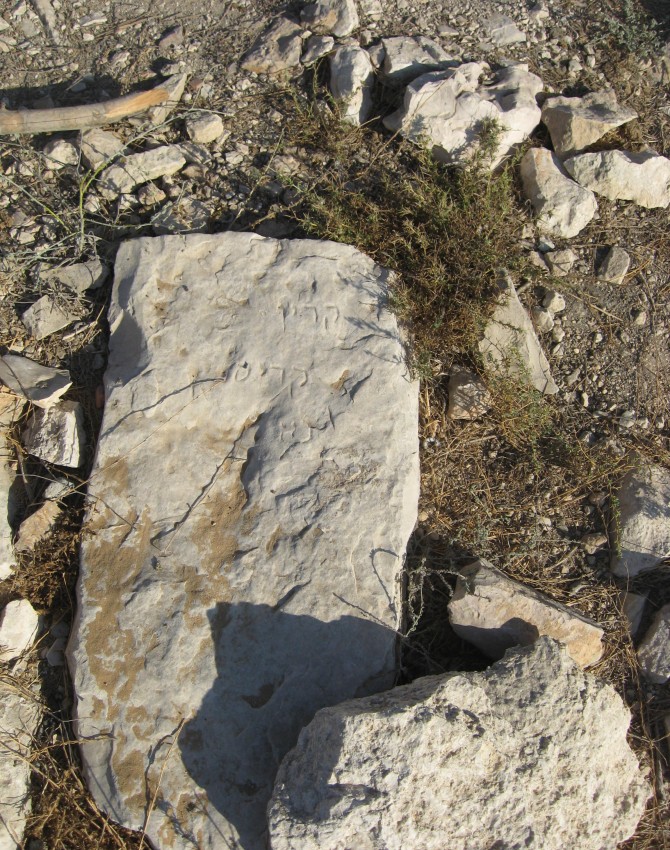 תמונת קבר קדין קריספין