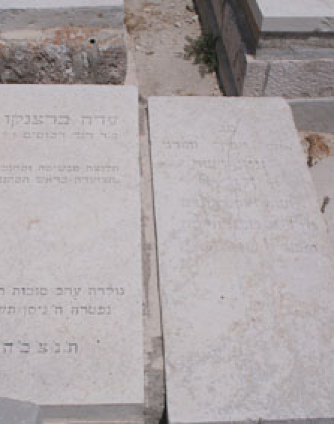 תמונת קבר דב משה דוד