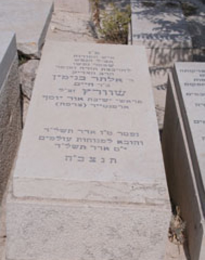 תמונת קבר אלתר בנימין שווארץ