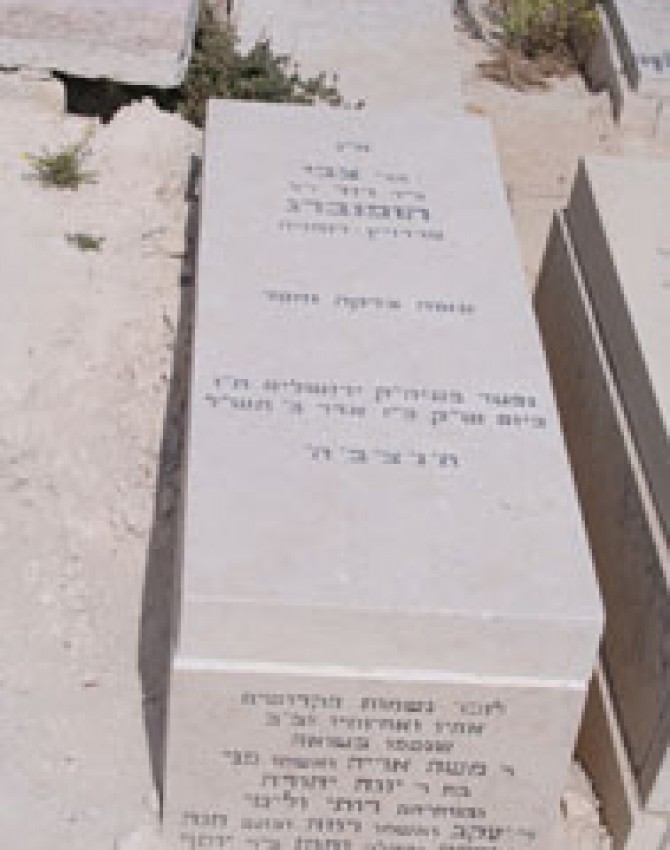 תמונת קבר צבי הופנברג