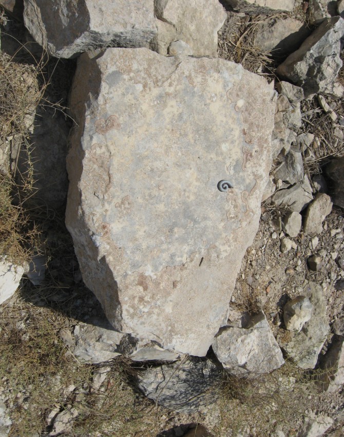 תמונת קבר מלכה חסון