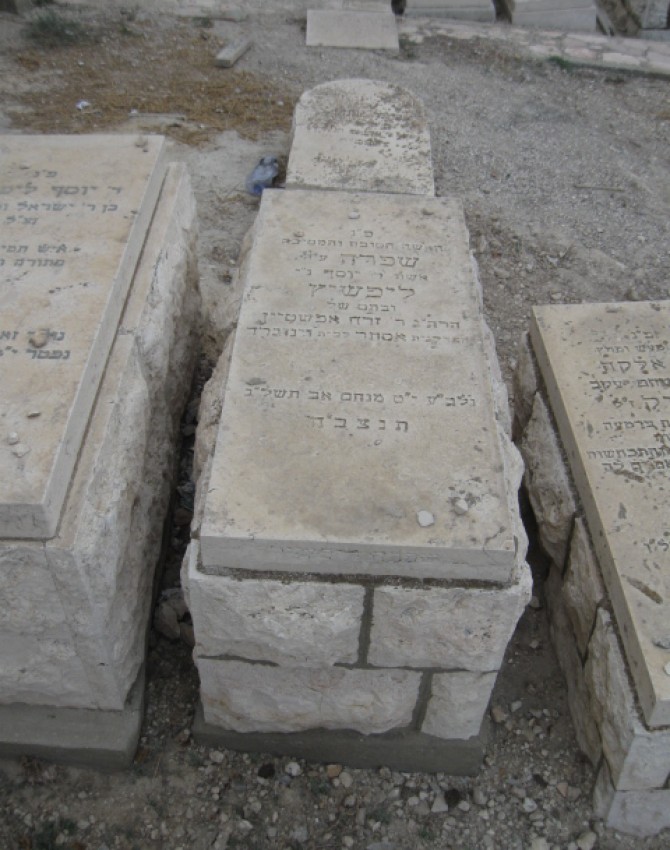 תמונת קבר שפרה ליפשיץ