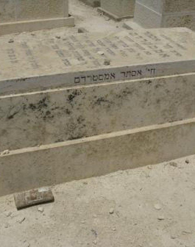 תמונת קבר דוד הלל שפירא