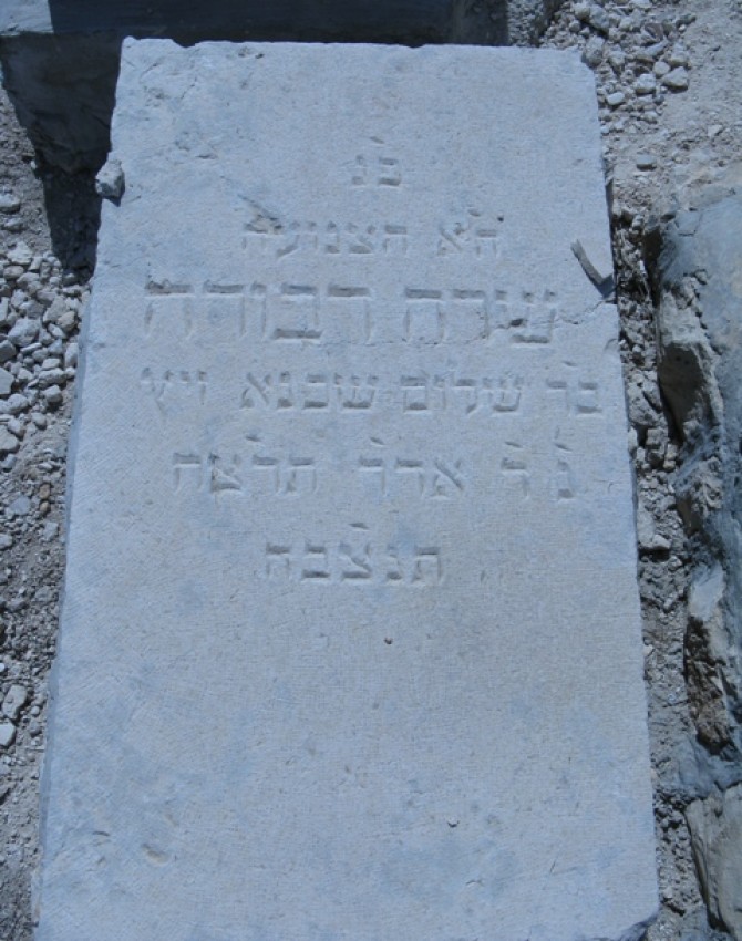 /שרה-דבורה-ויץ/