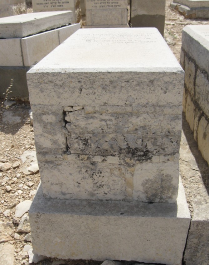 תמונת קבר טוביה קראמר