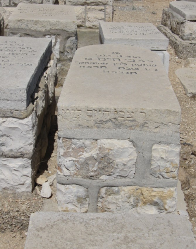 תמונת קבר צבי חיים לוין