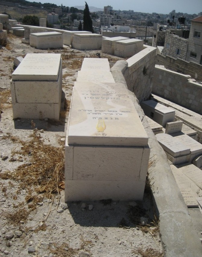 תמונת קבר דוד  פינקלשטיין