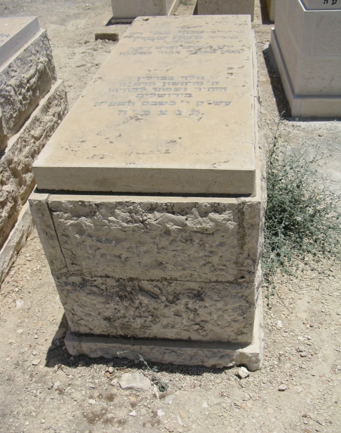 תמונת קבר יוסף צבי  צבי