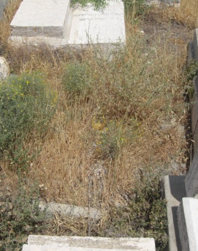 תמונת קבר חיה פערל שכטר