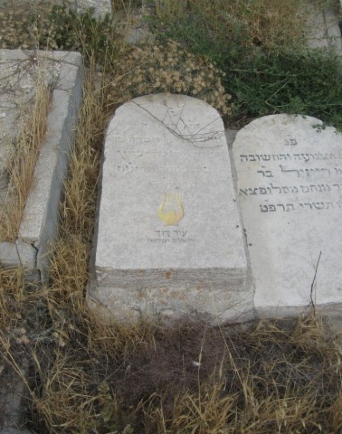 תמונת קבר שיינדיל רבקה יעקובוביץ